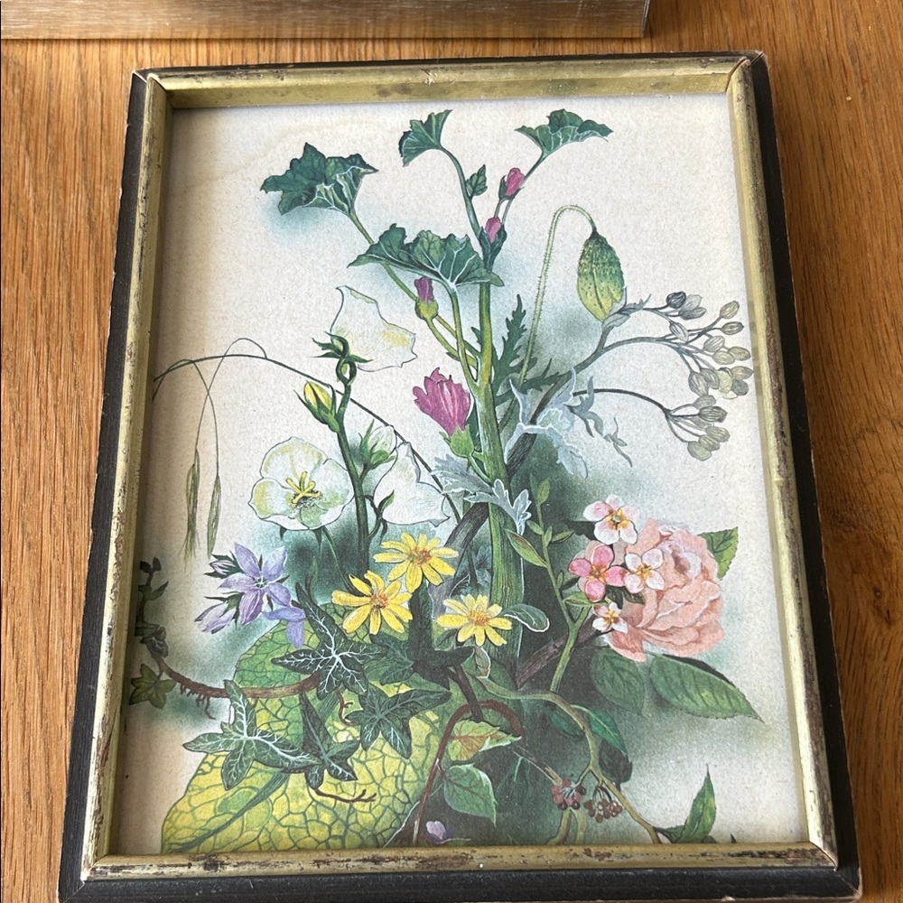 Vintage Floral Botanical Art Print in Brown & Gold Frame